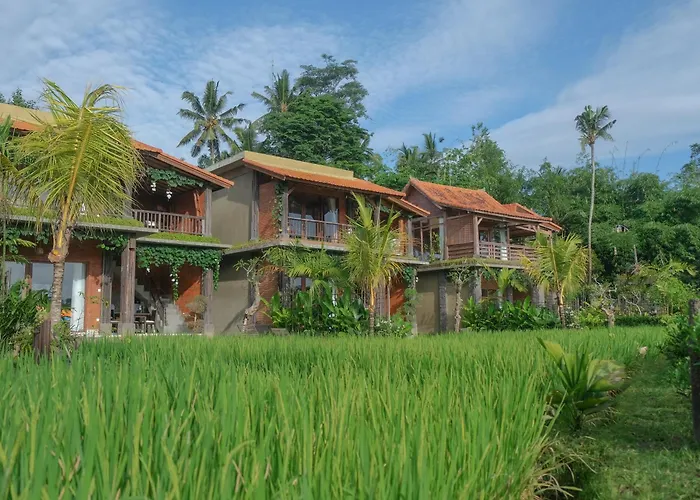 Dukuh Ubud Villa #3 Ricefield View