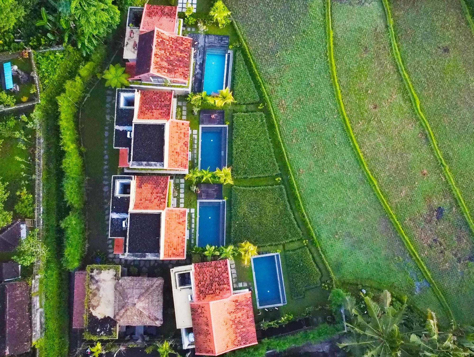 Dukuh Ubud #3 Ricefield View Villa