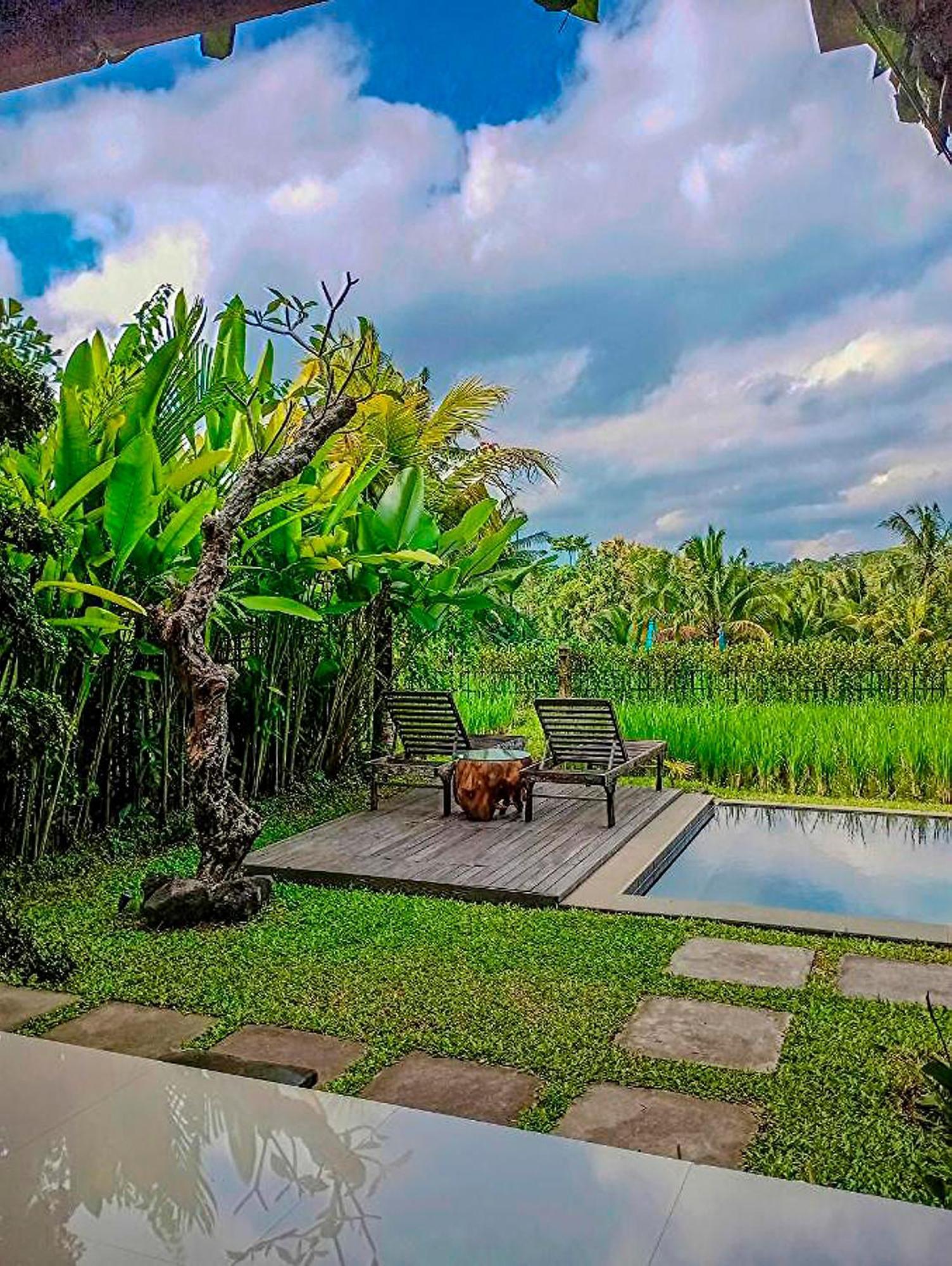 Villa Dukuh Ubud #3 Ricefield View *