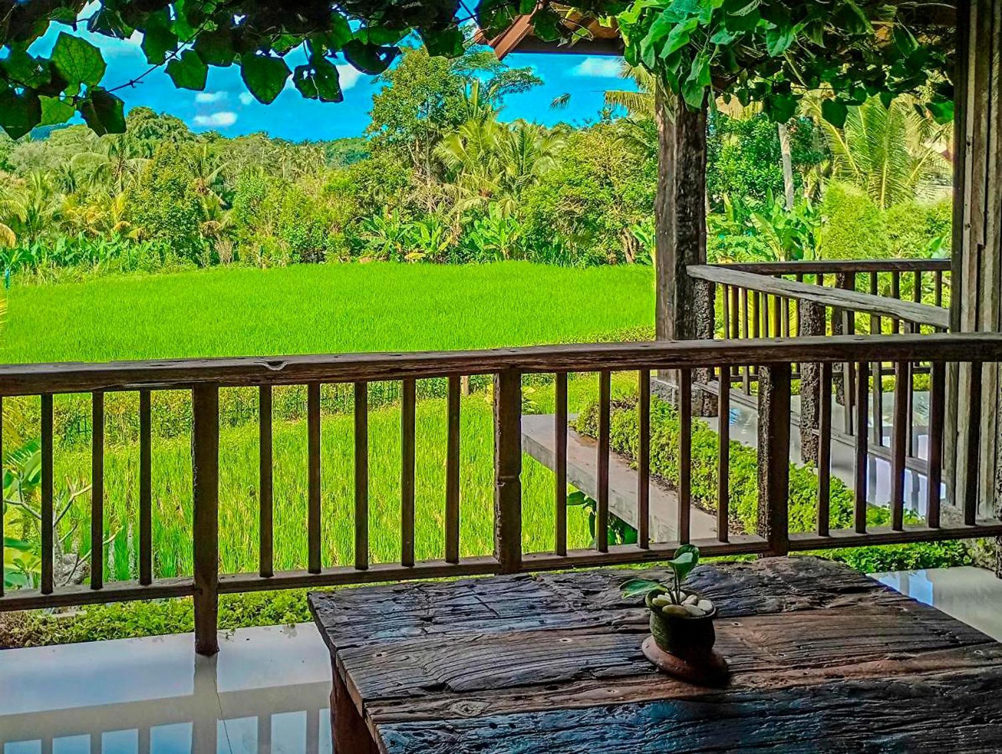 Villa Dukuh Ubud #3 Ricefield View