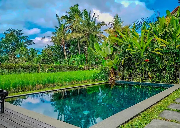 Dukuh Ubud Villa #3 Ricefield View