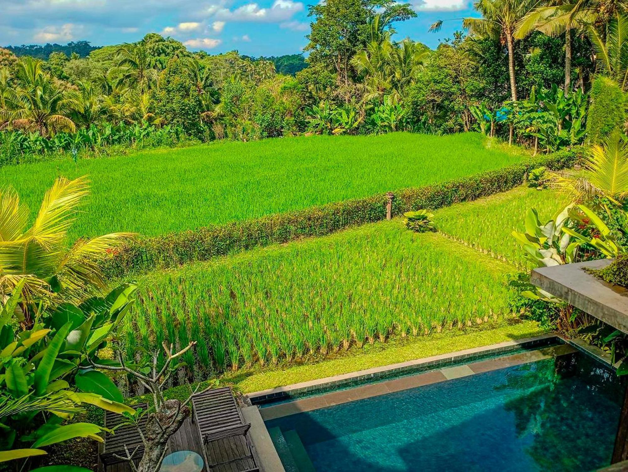 Dukuh Ubud #3 Ricefield View Villa *