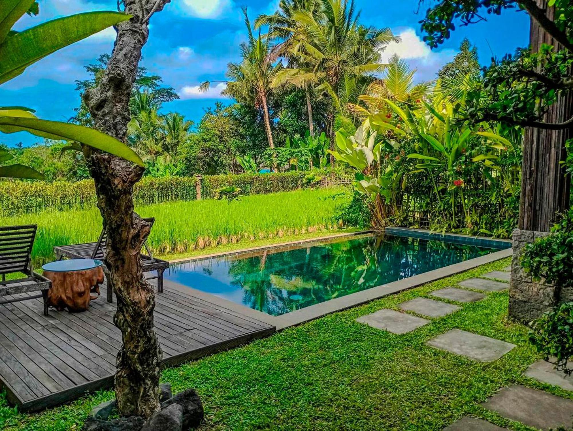 Dukuh Ubud #3 Ricefield View